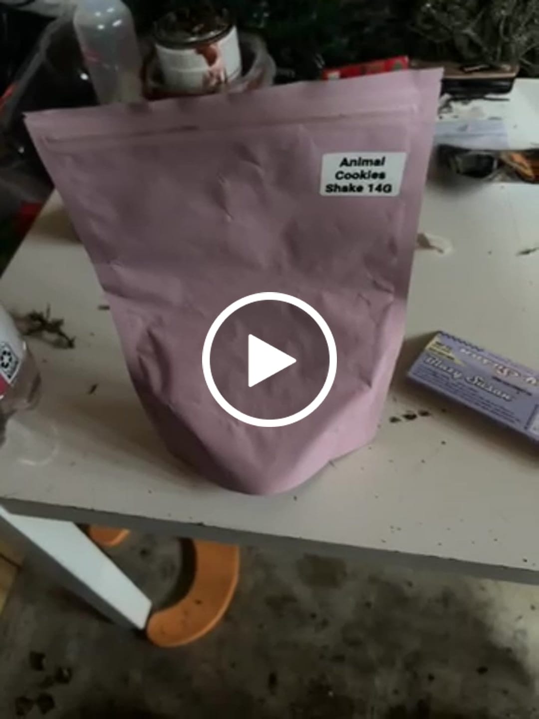Customer video review of Animal Cookies Shake