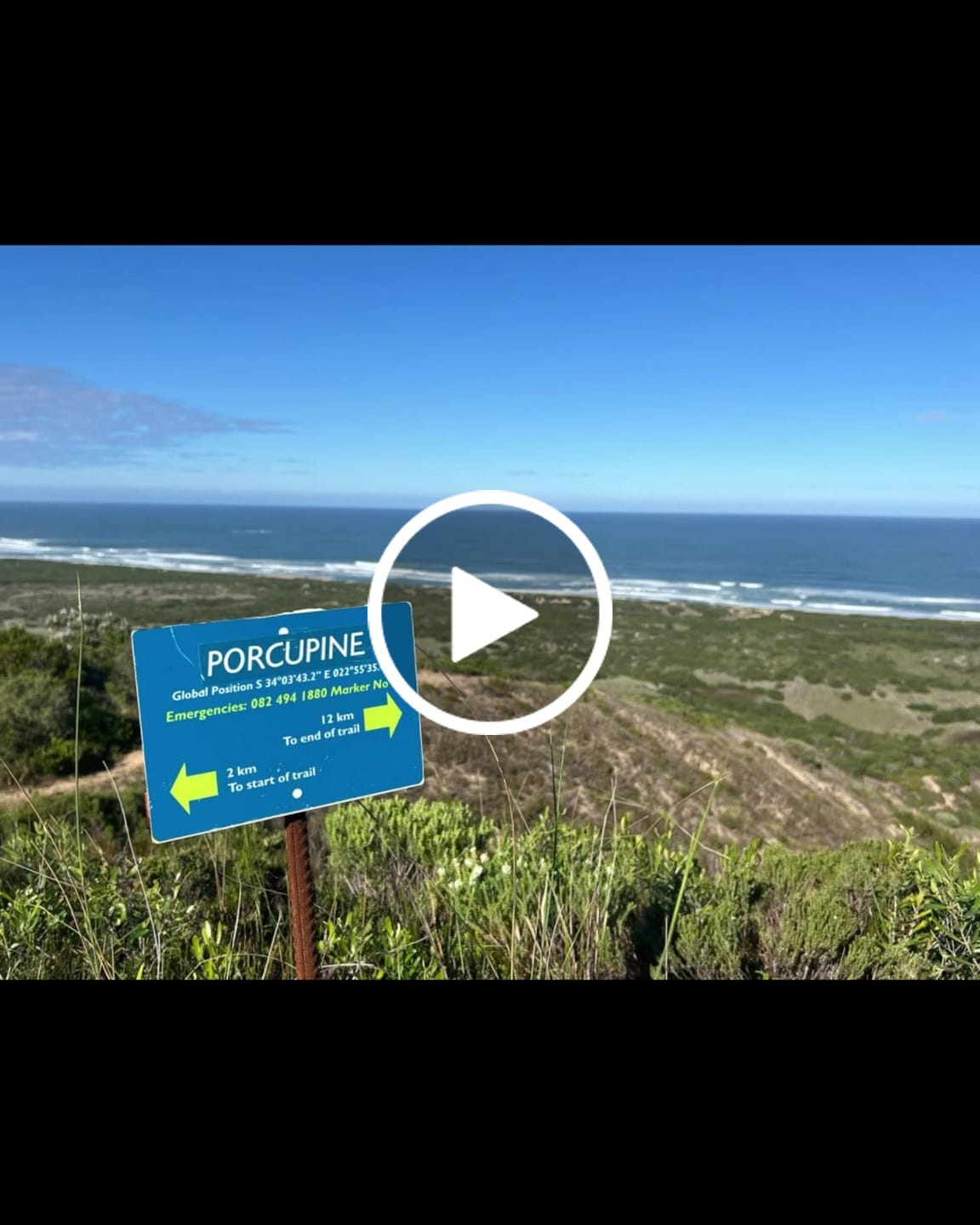 Customer video review of Carry Series | Eucalyptus