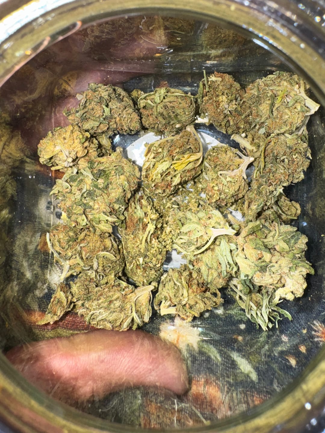 Customer photo review of Super Lemon Haze  - 14 Grams - Sativa