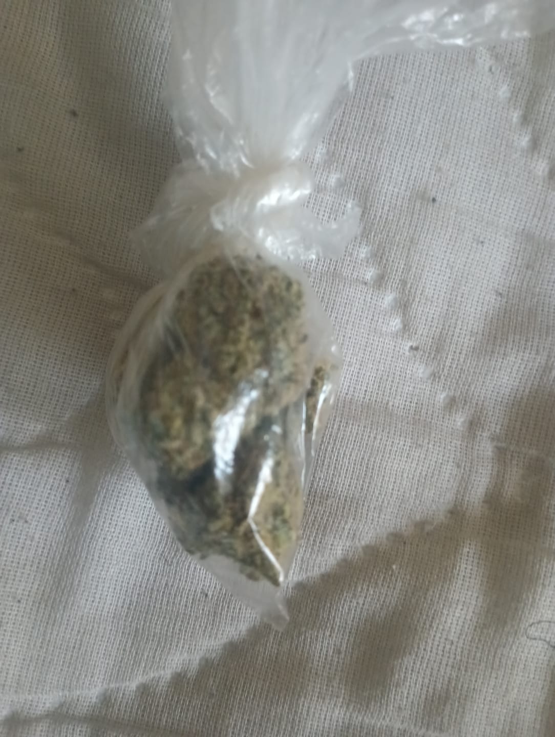 Customer photo review of OG Kush THCA Flower (Budget)