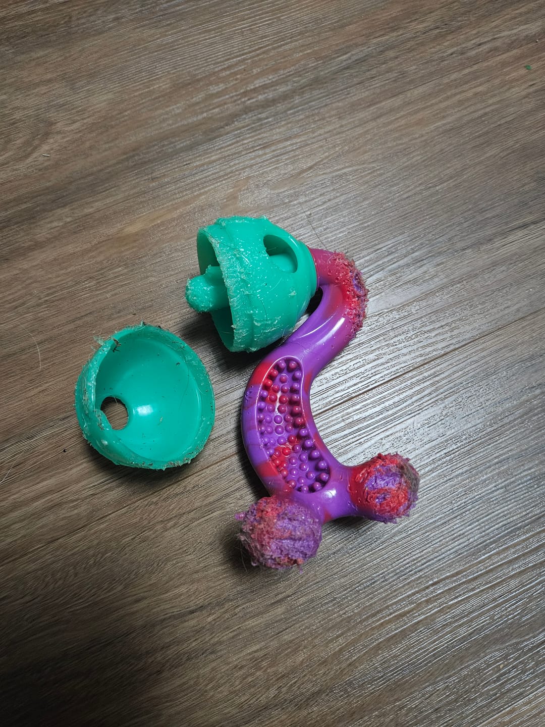 Customer photo review of Promo Chewzilla® Toy