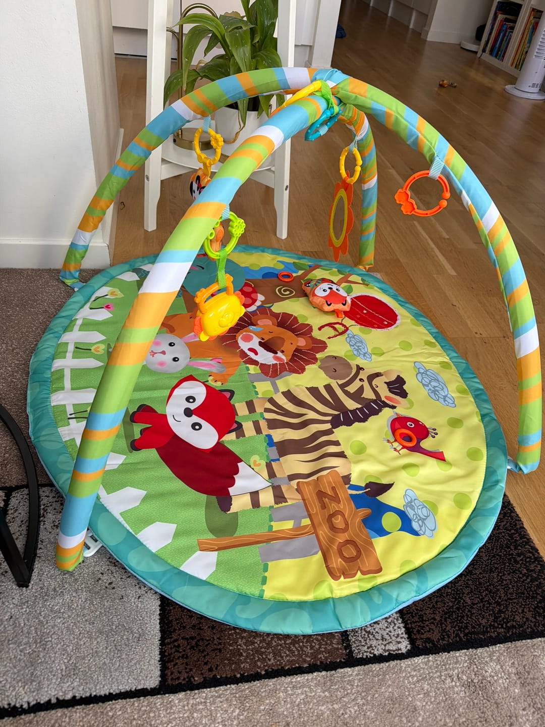 Customer photo review of Babygym Adventure