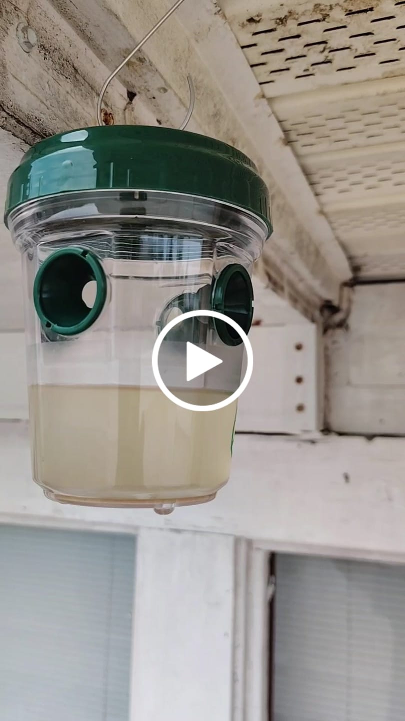 Customer video review of Mosquito TNT Refill Pack