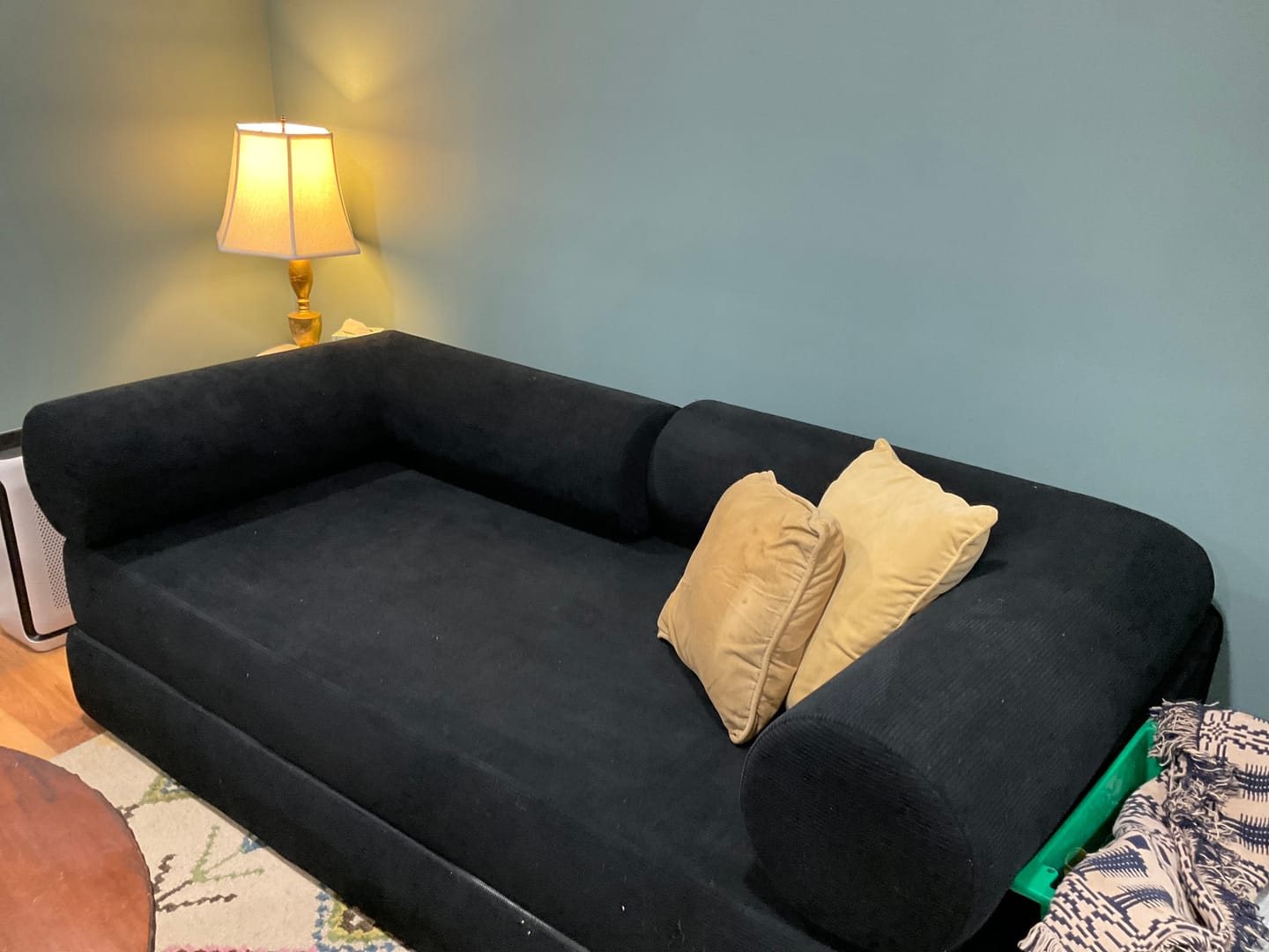 Customer photo review of S8 Sleeper Sofa Bed