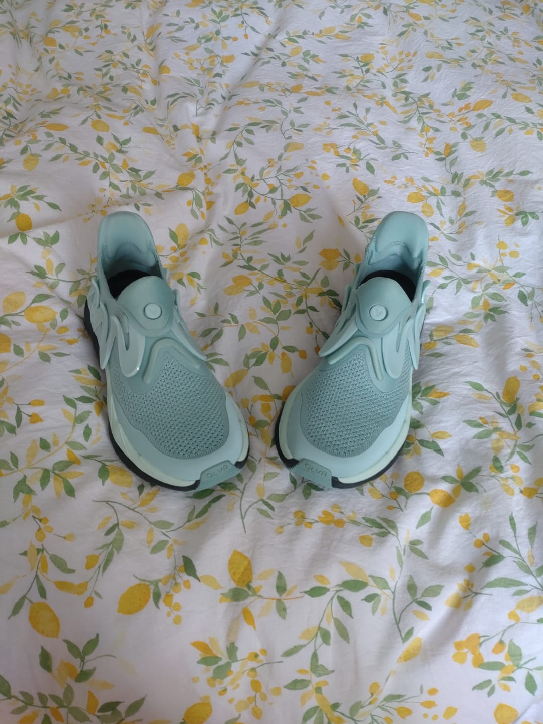 Customer photo review of The ENDVR