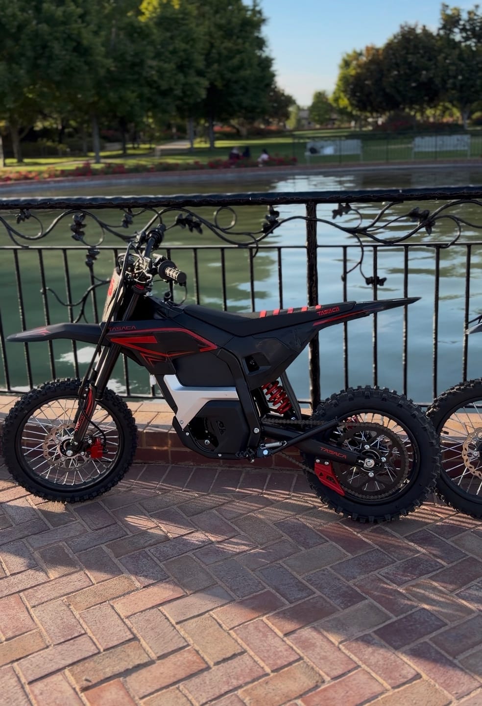 Customer photo review of T500-V58 Electric Dirt Bike