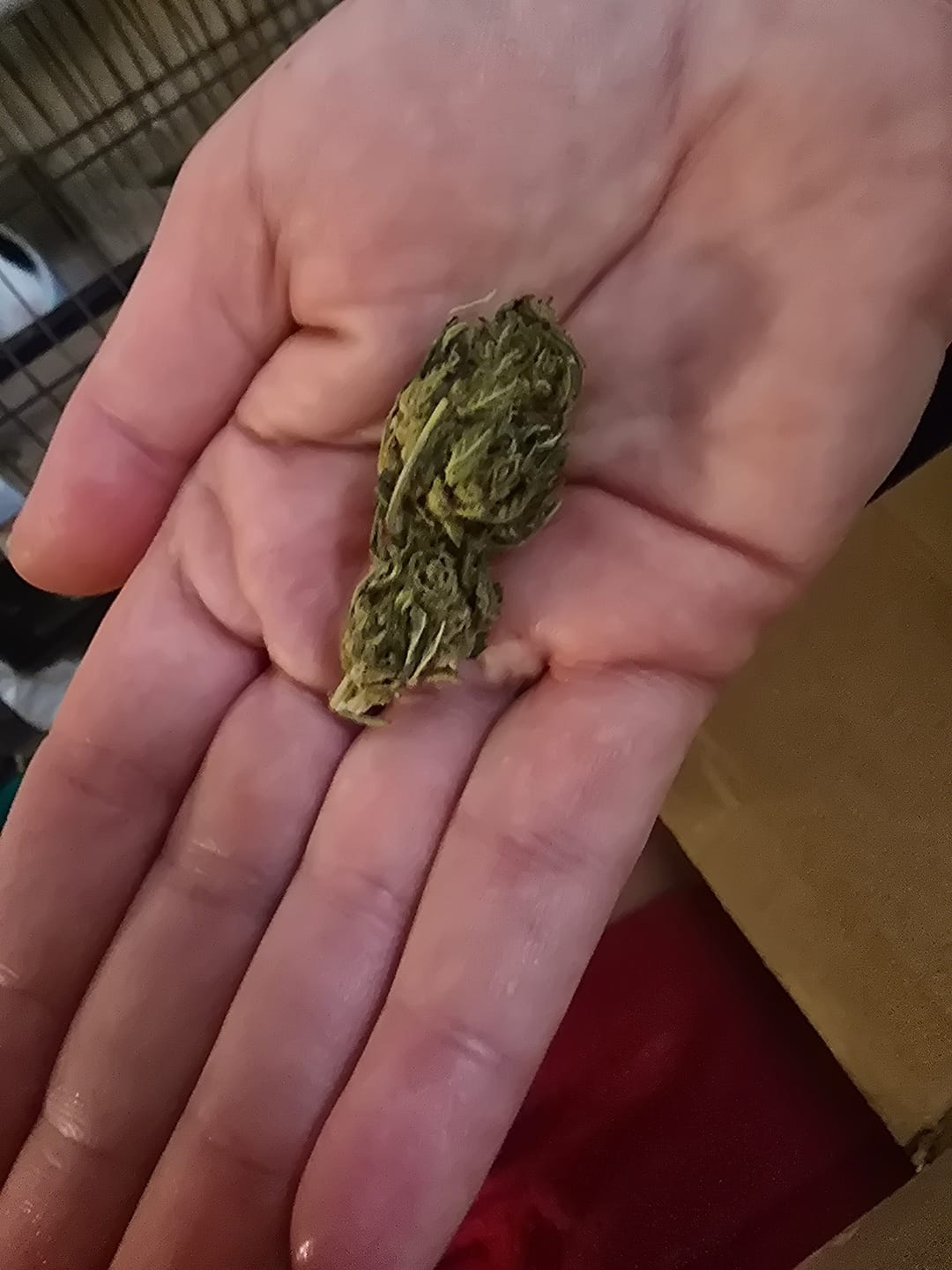 Customer photo review of Jager Sour Diesel - 14 Grams - Hybrid