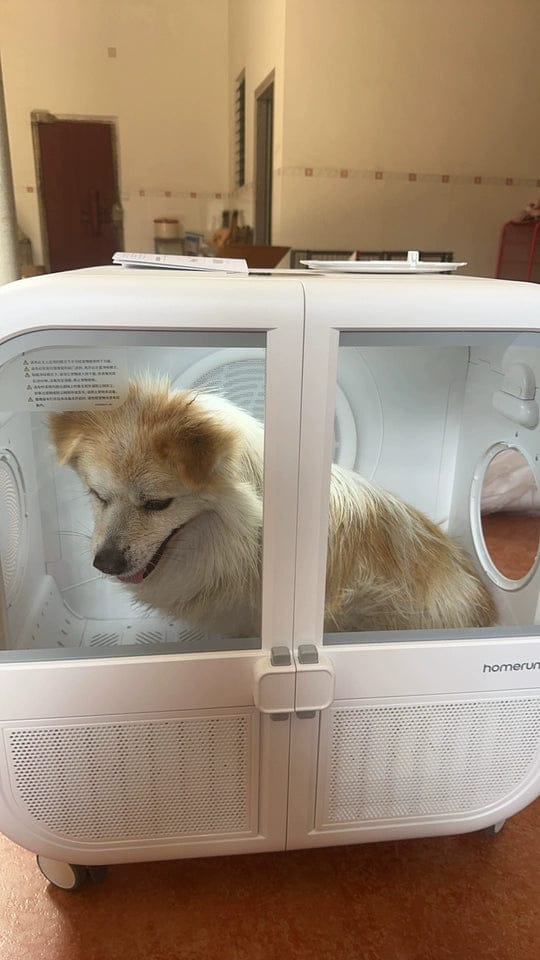 Customer photo review of homerunPET 「Drybo Ultra」ペットドライヤーハウス（7月下旬発送）