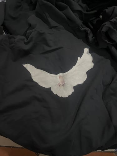 Customer photo review of Yeezy Gap Engineered by Balenciaga Dove Hoodie