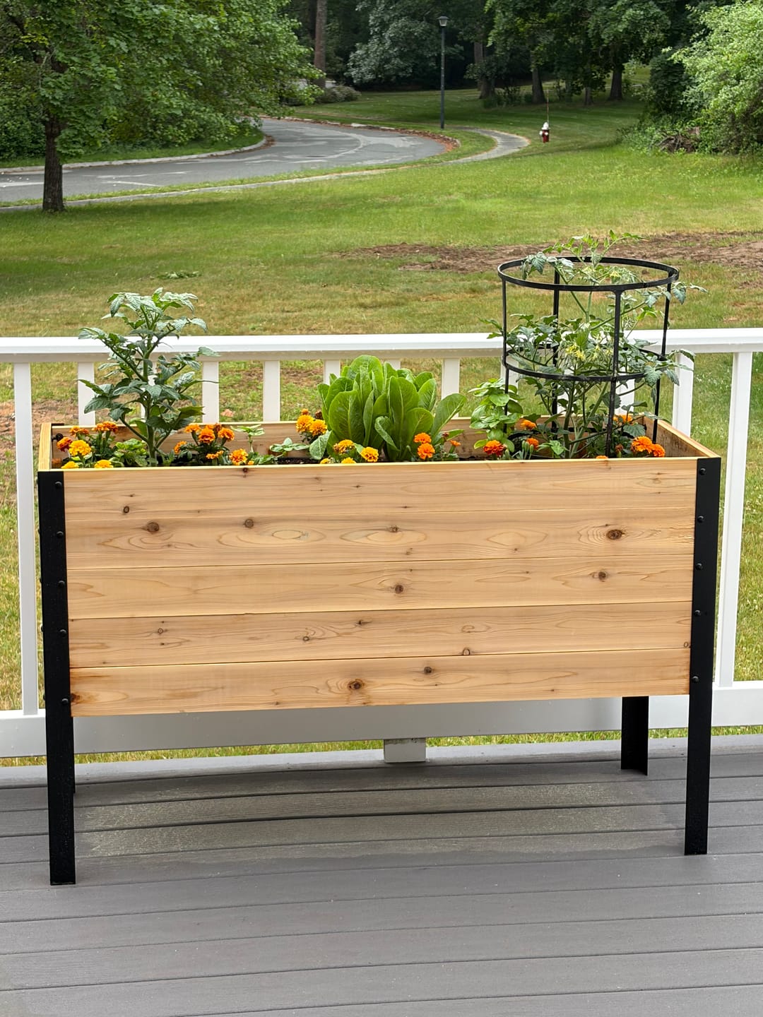 Customer photo review of 18″ x 48″ Deep Root Raised Garden Bed - 30″ TALL / Garden Grade
