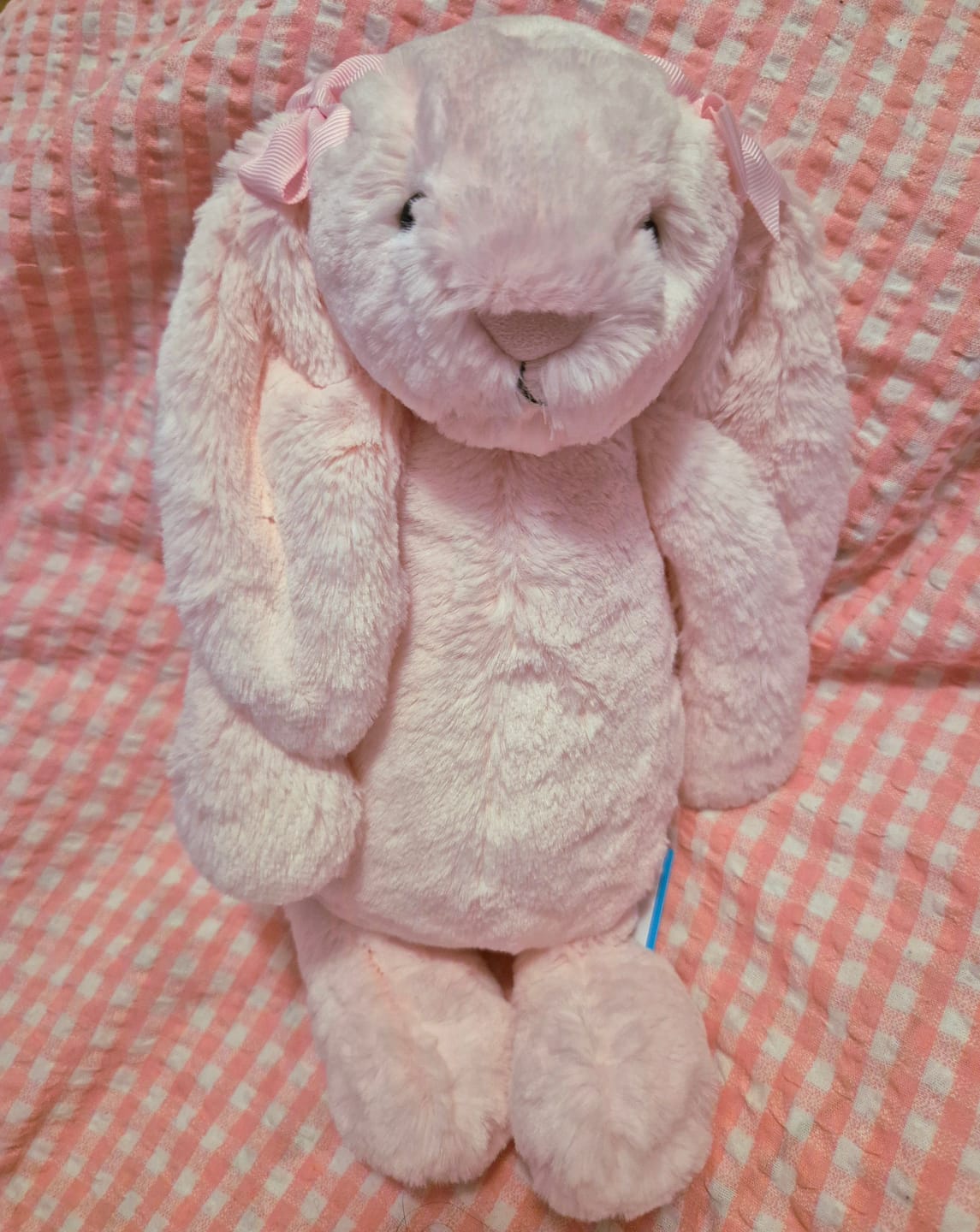 Customer photo review of Bashful Pink Bunny Original | Jellycat