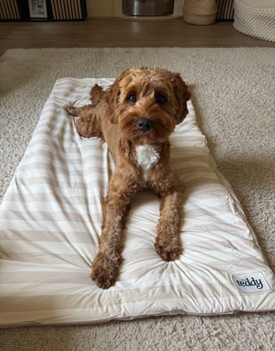 Customer photo review of Summer Breeze Cooling Mat