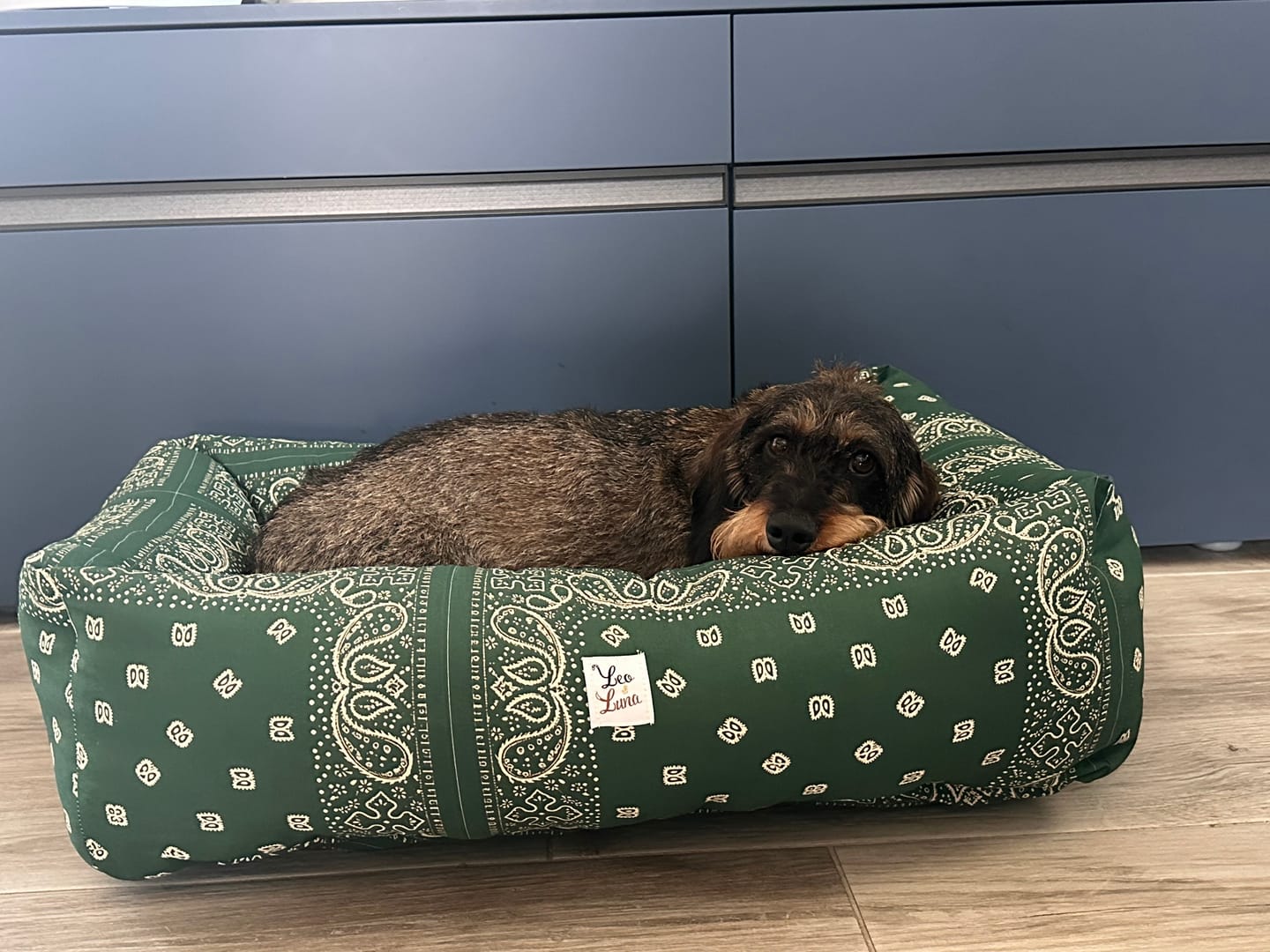 Customer photo review of Cuccia Divanetto Cani Bandana Verde | Made in Italy