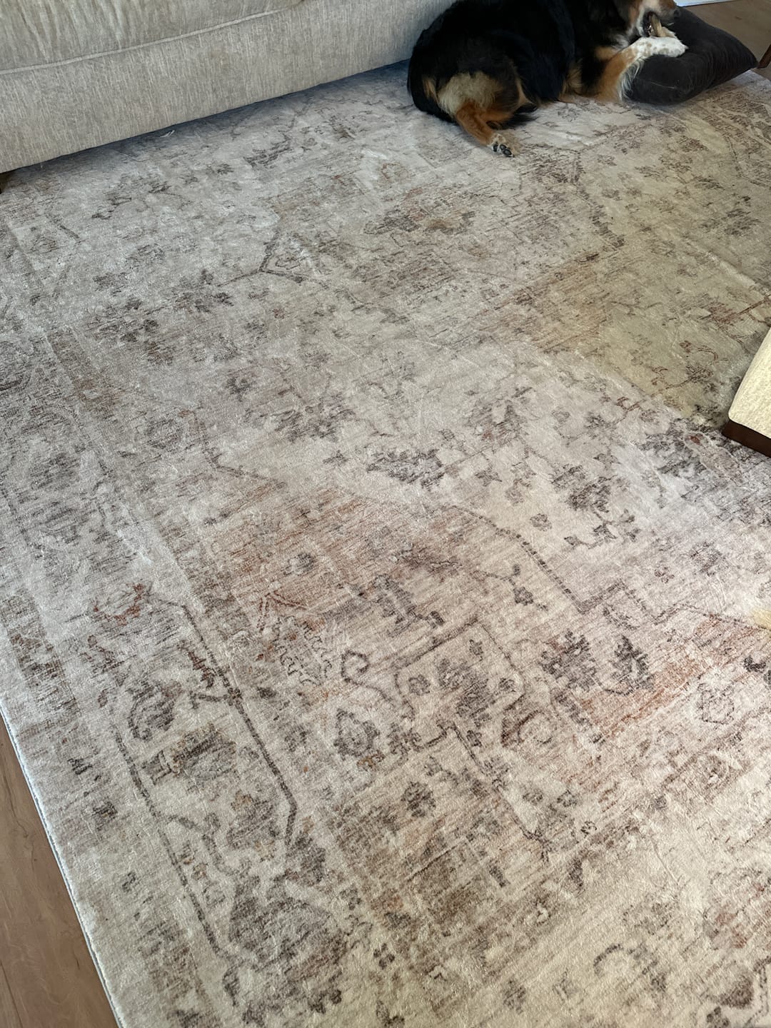 Customer photo review of Selene Washable Area Rug - Beige/White