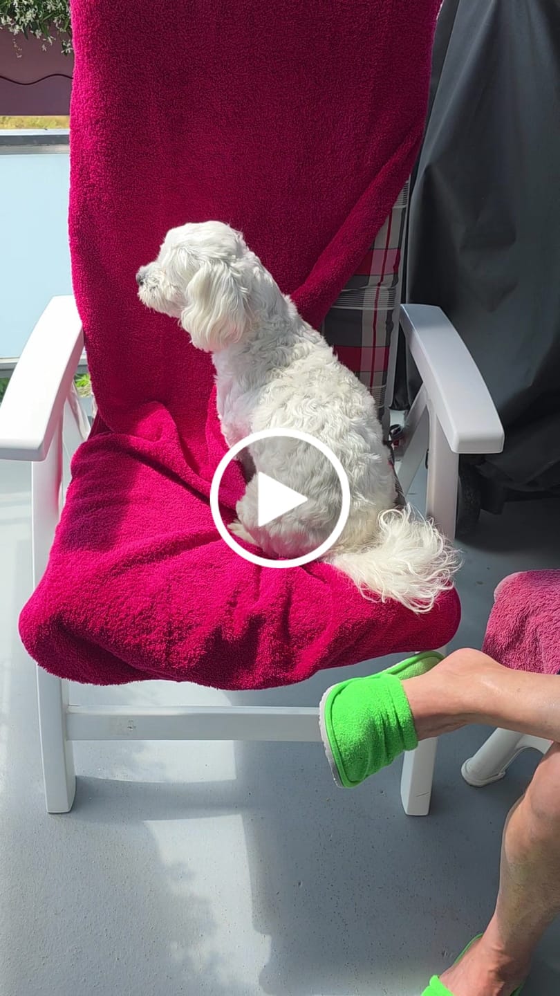 Customer video review of Wurmtest Basic Hund