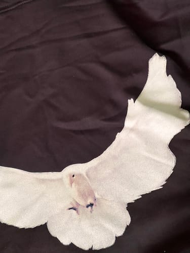 Customer photo review of Yeezy Gap Engineered by Balenciaga Dove Hoodie