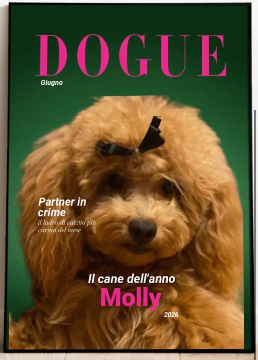 Customer photo review of Dogue - Poster personalizzato