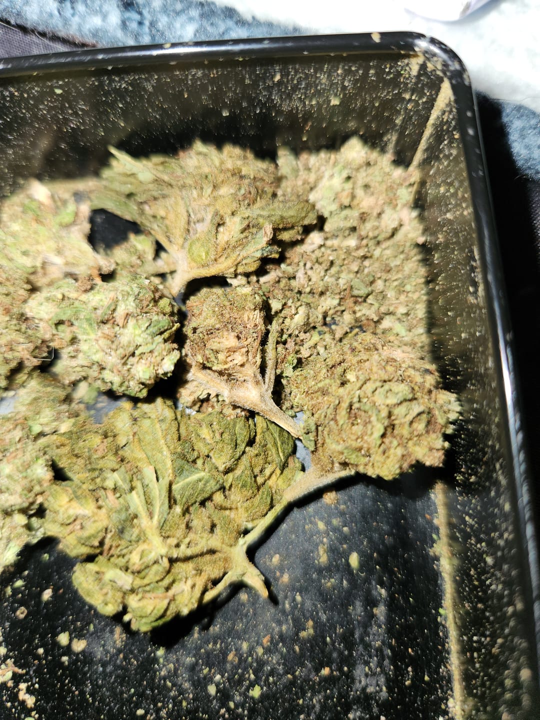Customer photo review of Hashburger - 28 Grams - Indica