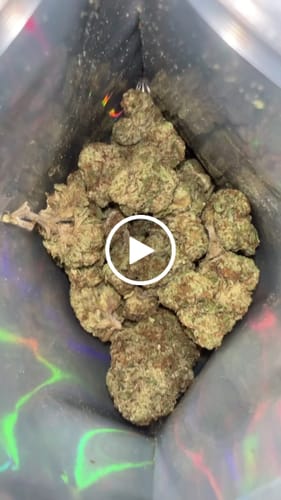 Blueberry Muffin - 28 Grams - Indica photo review
