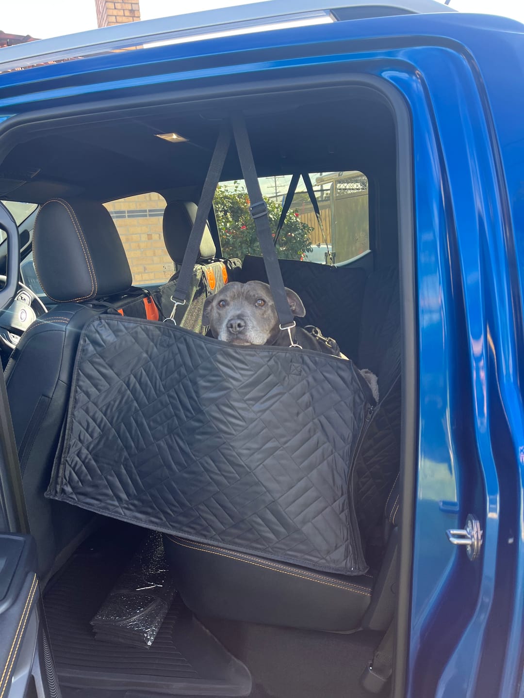 Customer photo review of Companion&Co™ Hard Bottom Car Seat Cover