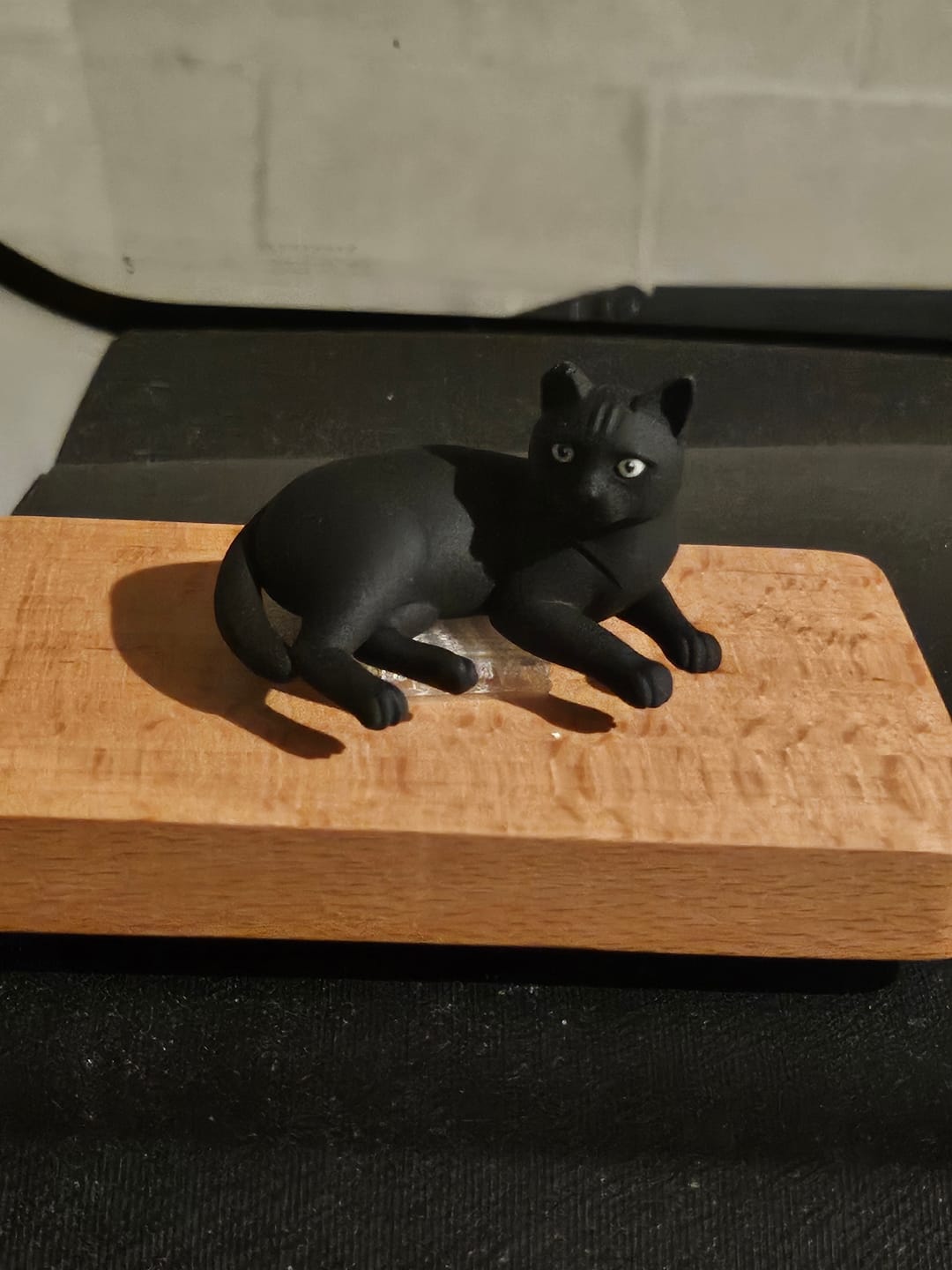 Customer photo review of Custom 3D Pet Figurine - From Your Photo