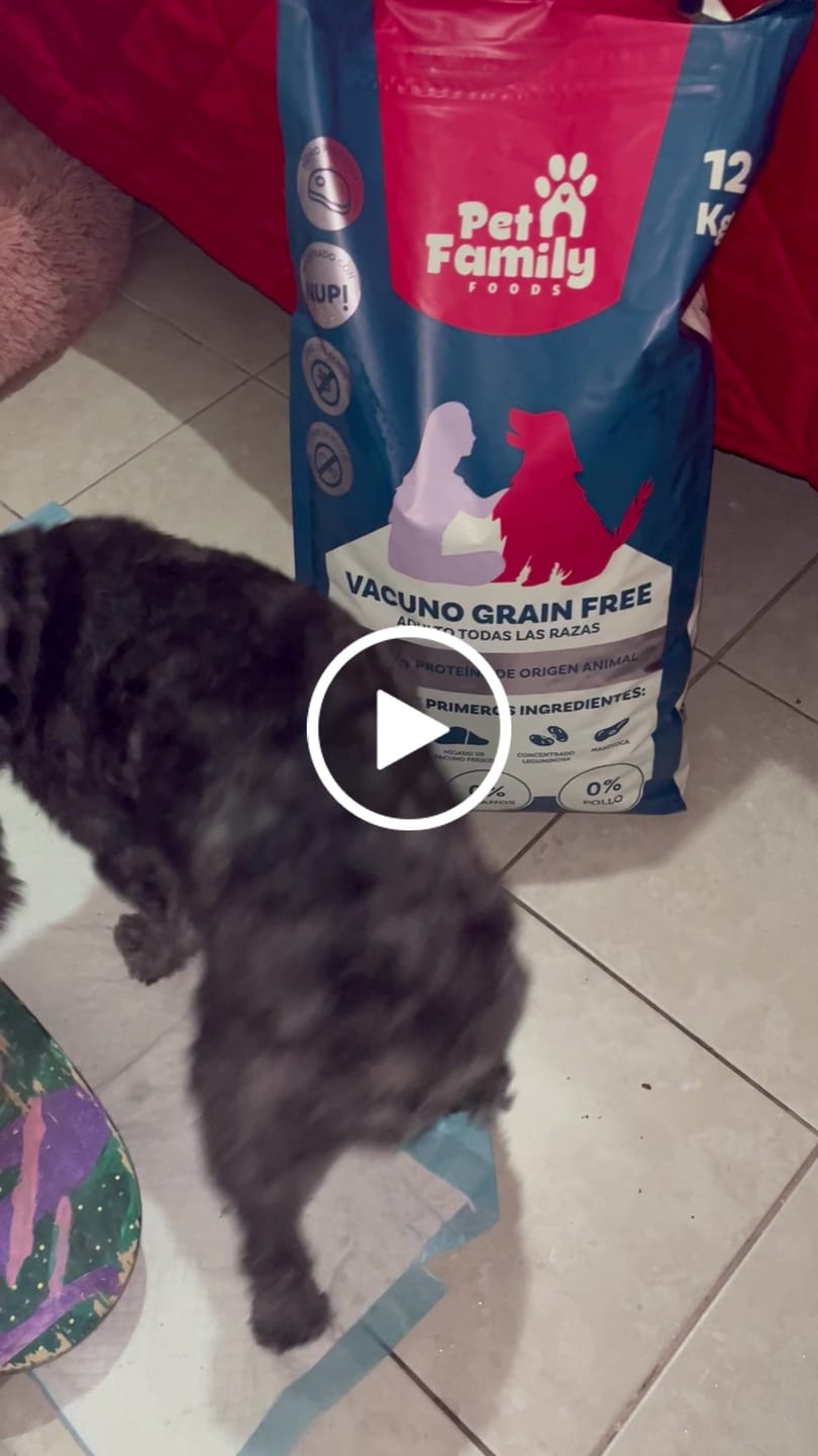 Customer video review of PetFamily Cookies