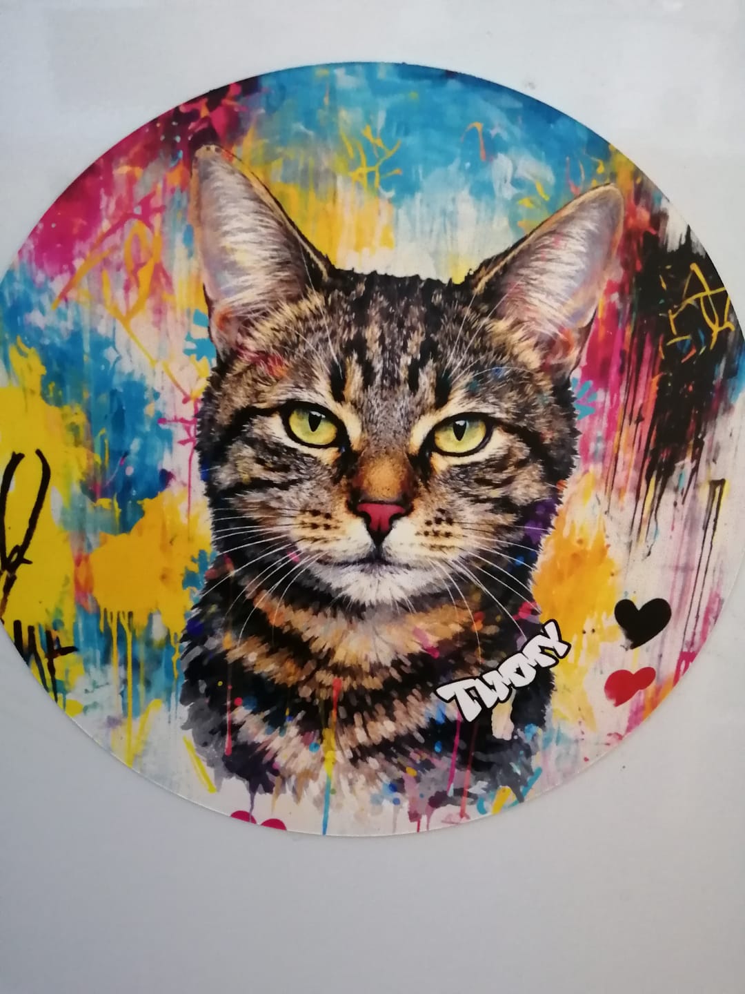 Customer photo review of Graffiti - Personalised Car Magnet