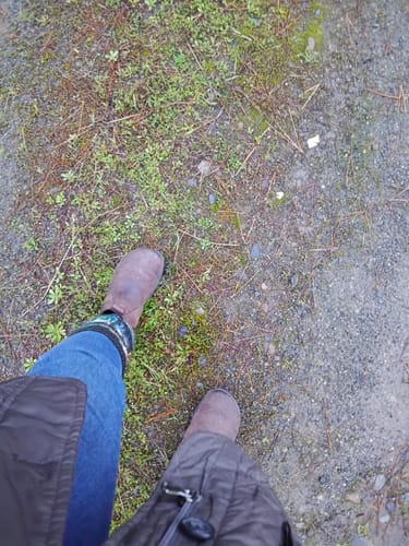 Customer photo review of CHELSEA BOOT WATERPROOF [ESPRESSO] (UNISEX)