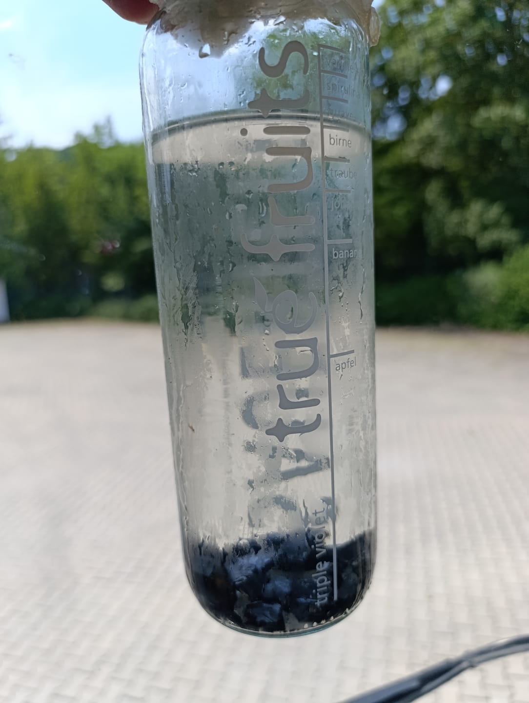 Customer photo review of Edelschungit aus Karelien | Wassersteine | Rohsteine