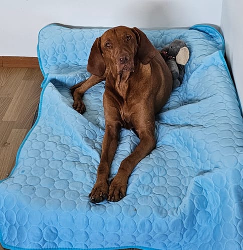 Foto zur Bewertung von Antje K.