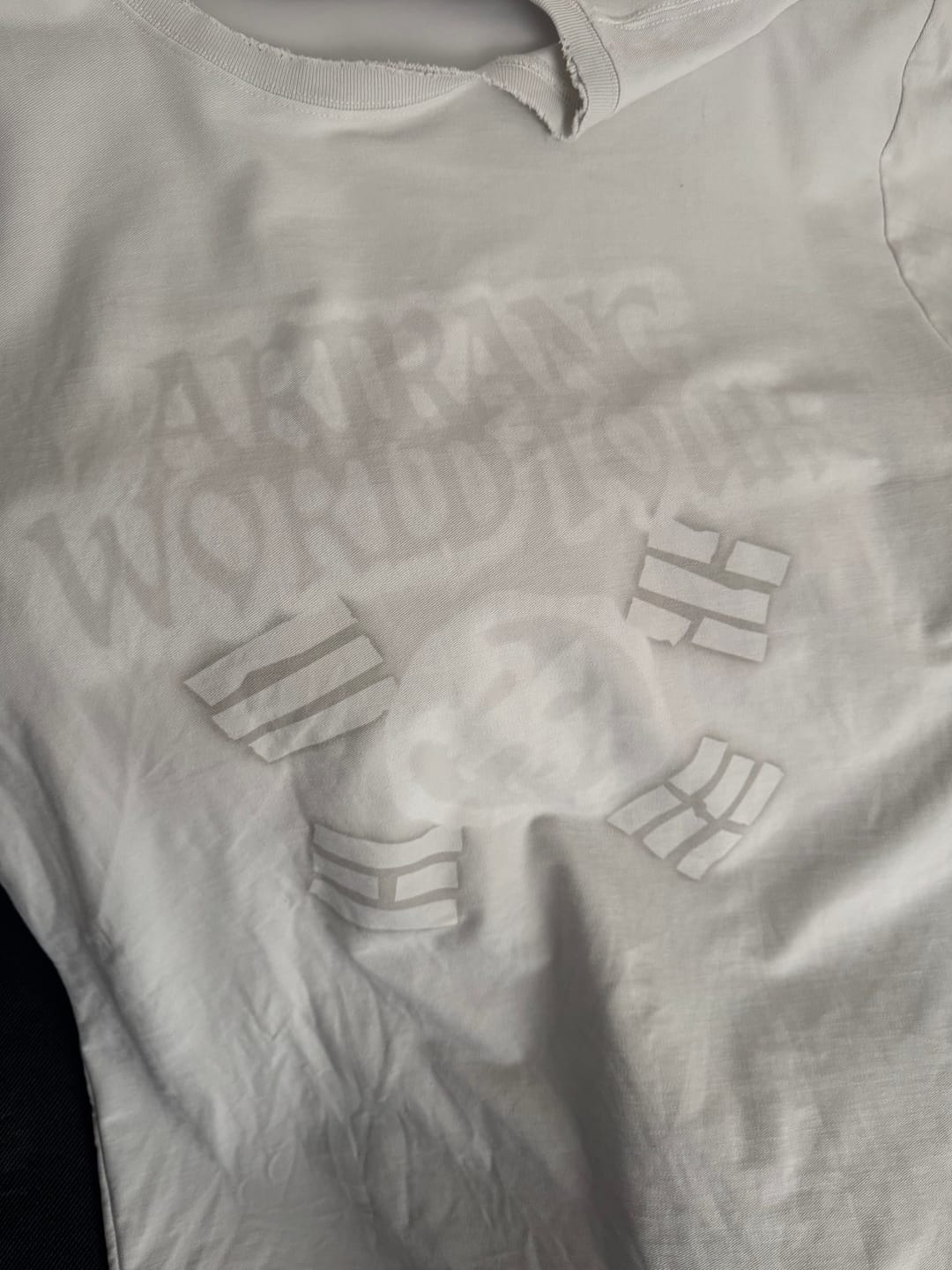 Customer photo review of [2ND PRE-ORDER] BTS - ARIRANG WORLD TOUR OFFICIAL MD S/S TOUR T-SHIRT (GRAY)
