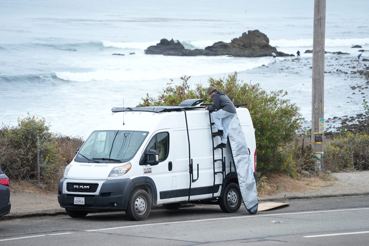Customer photo review of Ram ProMaster Side Mount Ladder