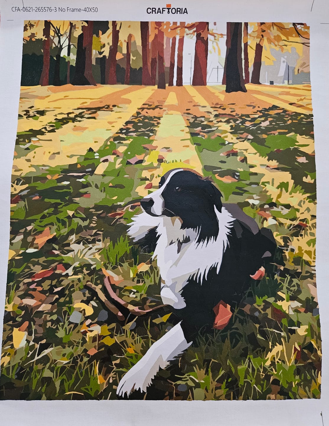 Customer photo review of Custom Paint By Numbers Kit