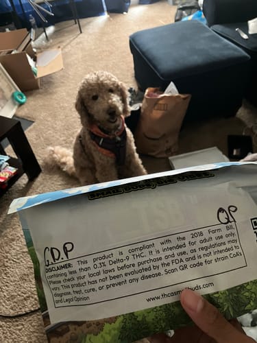 Customer photo review of GDP THCA Flower