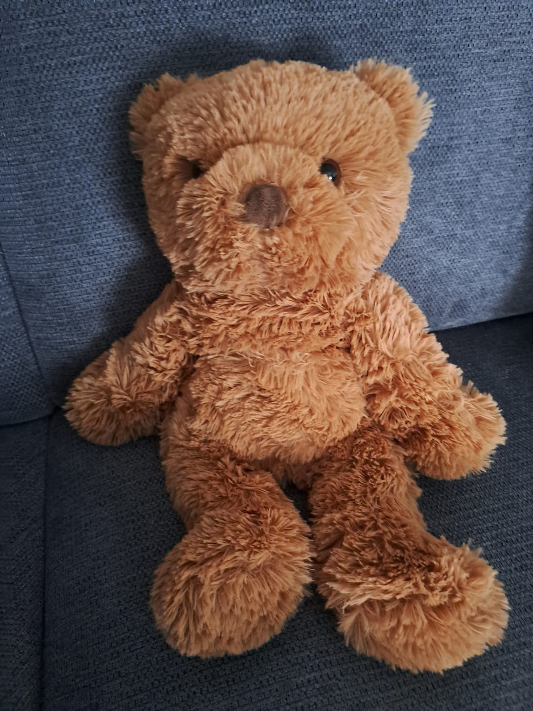 Customer photo review of Verzwaringsknuffel Teddy Beer 2,2 kg + Gratis Pittenzakje