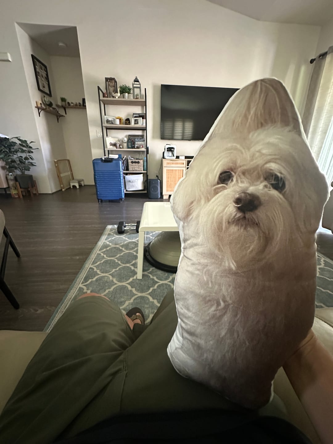 Customer photo review of Pet Pillow Looks Like Your Pet, Customize Dog Shaped Pillow with Pet Photo - ThePetPillow