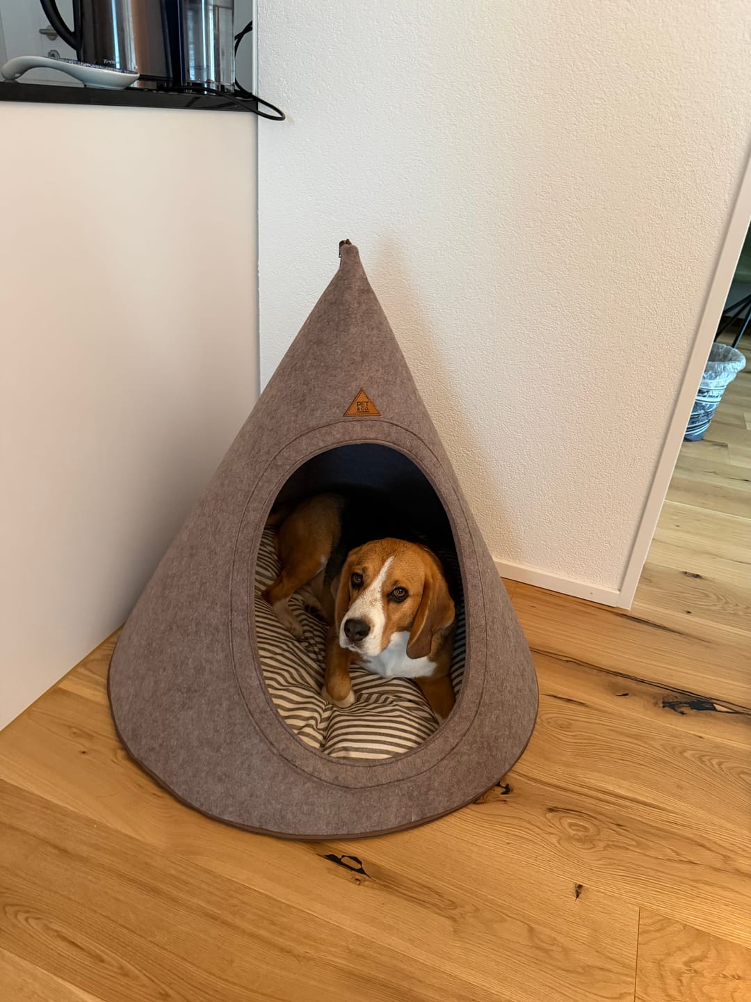 Customer photo review of Tonto - Luxury Dog Tipi