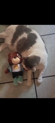 Customer photo review of Peluche oso Graduation Kanye West