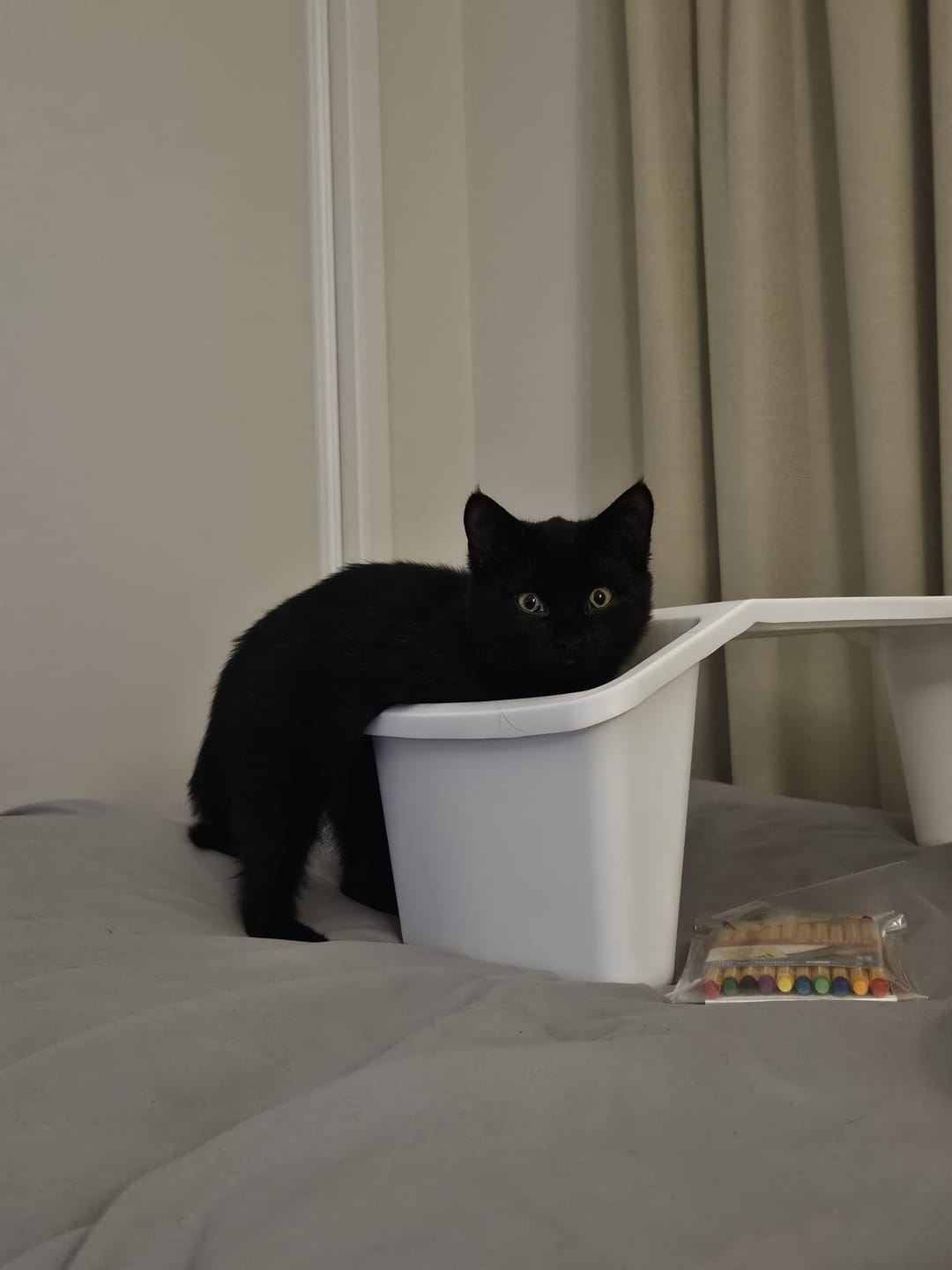 Customer photo review of Fit Litter