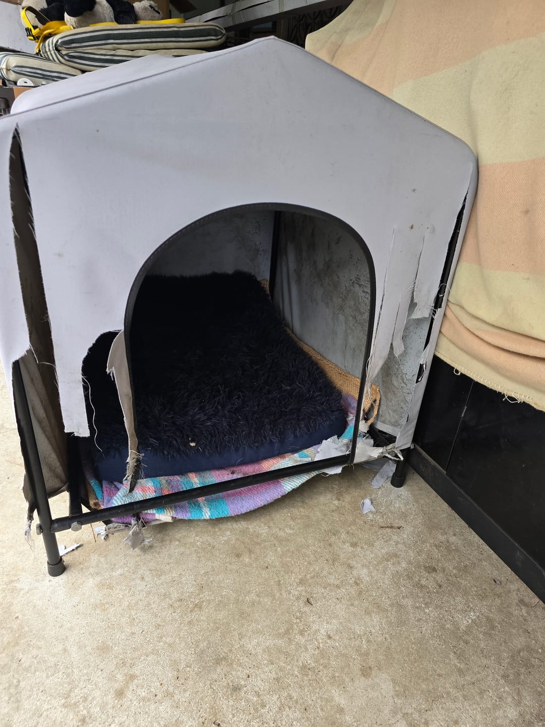 Customer photo review of Calming Cover for Kangaroo Crate Mat