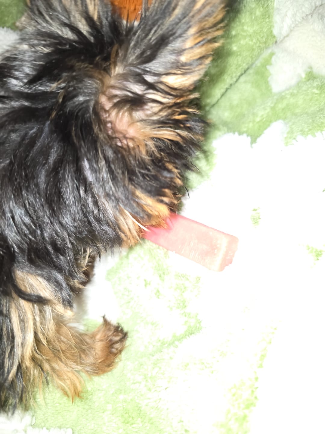 Customer photo review of Strawberry Yak Chew — Vitamin C, Fiber & Teeth Whitening