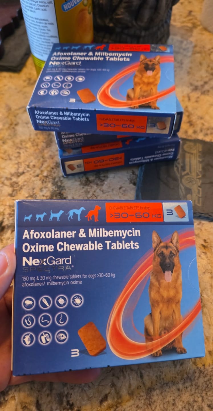 Customer photo review of Nexgard Spectra - All-in-One Protection for Your Dog