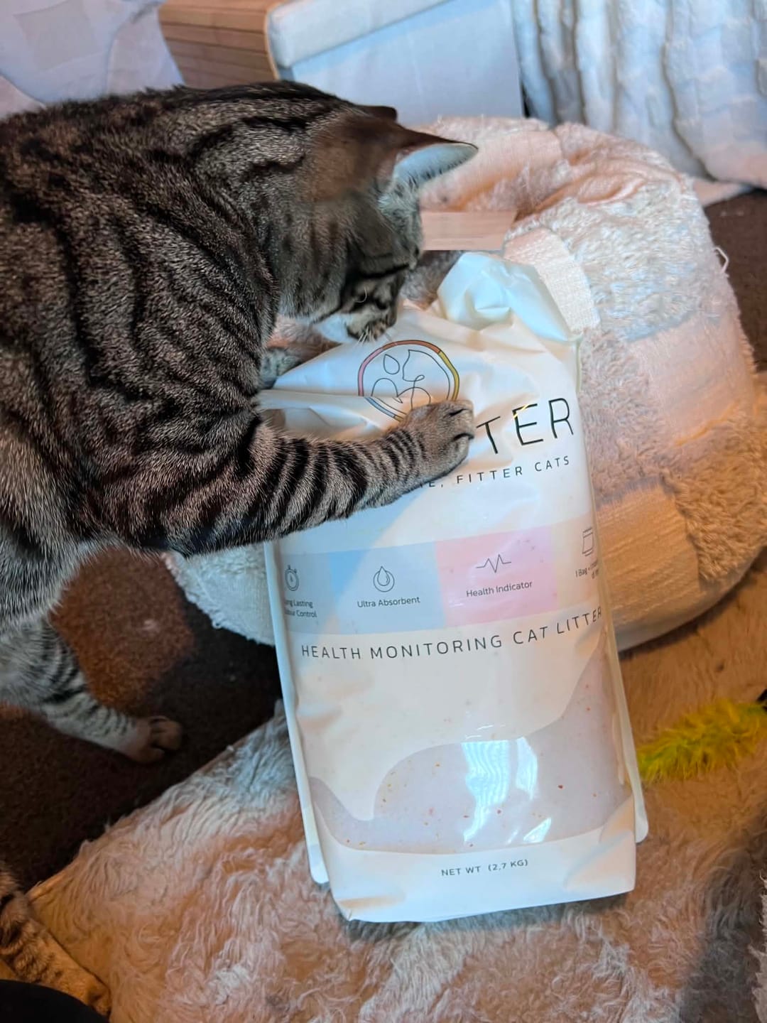 Customer photo review of Fit Litter