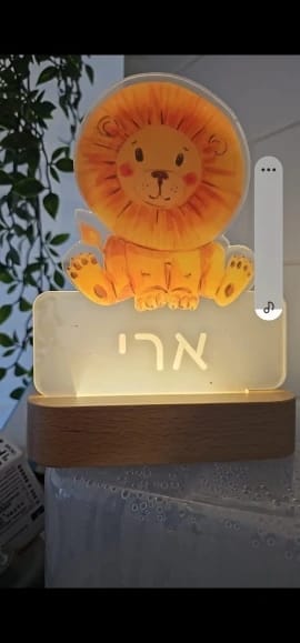 Customer photo review of Lion Personalized Name Light