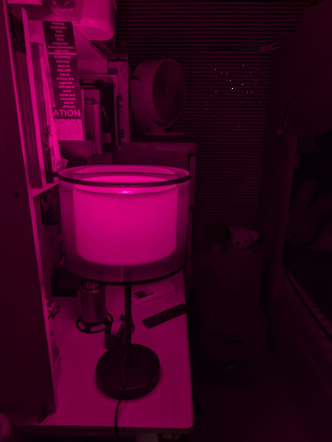 Customer photo review of Dual Use Red & White LED Bulb – Remote Controlled A19 E26 Dimmable Sleep Lighting 670nm No Blue Light