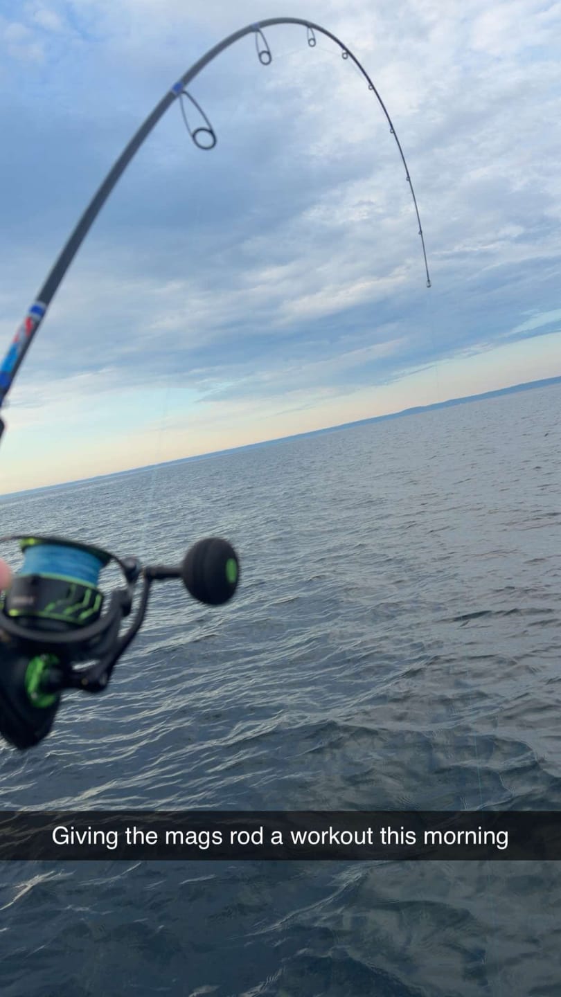 Customer photo review of Custom Spinning Rod