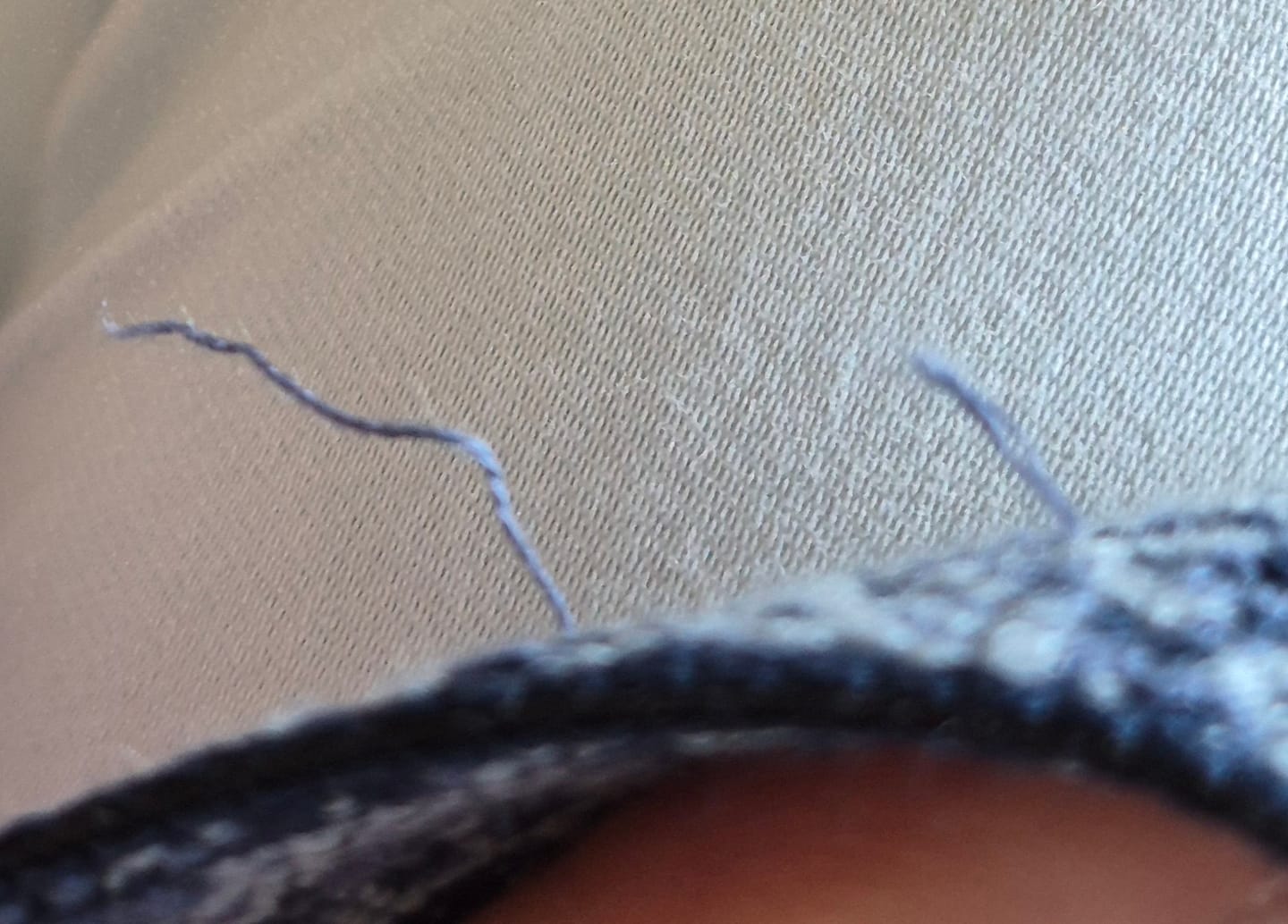Customer photo review of Belt-Blue Monday