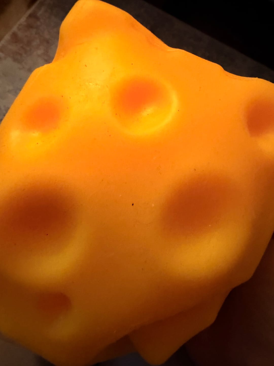 Customer photo review of Giant Durable Squishy Cheese