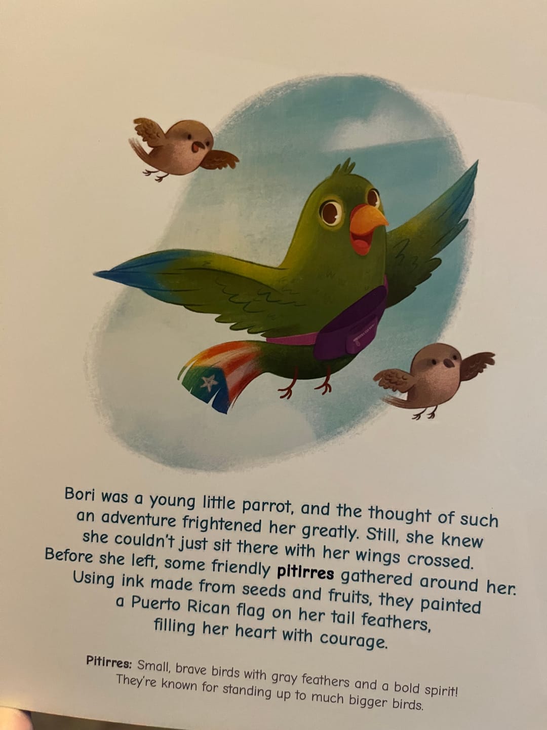 Customer photo review of Bori: A Vuelo de Pájaro | Libro Bilingüe