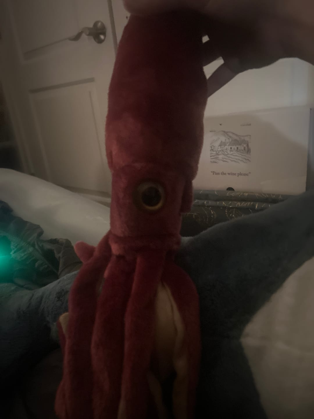 Customer photo review of Giant Squid Soft Stuffed Plush Toy